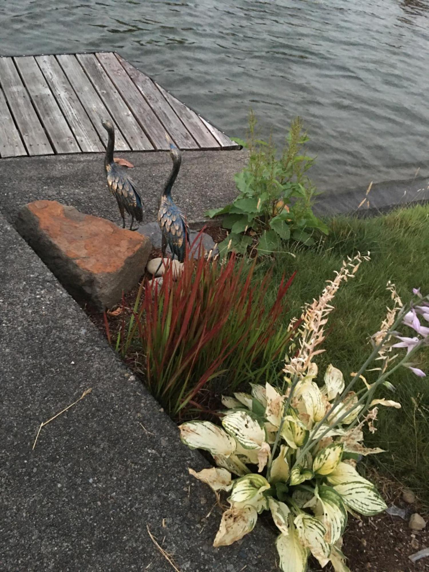 Lakefront Retreat House Sumner エクステリア 写真
